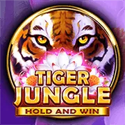 Dragon Tiger tại gacam67